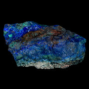 2.6" Rough Azurite Crystals And Malachite Mineral Specimen Tiznit Morocco