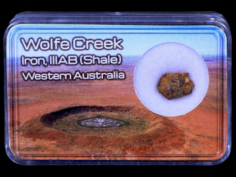 Wolf Creek Meteorite Western Australia Iron, IIIAB (Shale) Found In 1947 Display - Fossil Age Minerals