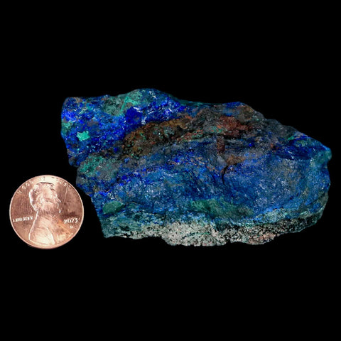 2.6" Rough Azurite Crystals And Malachite Mineral Specimen Tiznit Morocco - Fossil Age Minerals