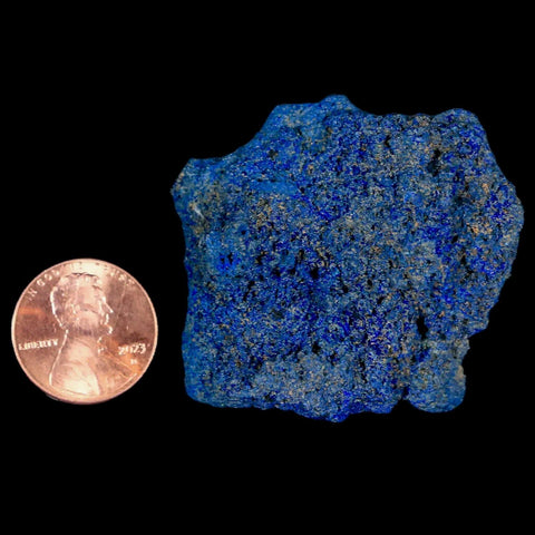 1.7" Rough Azurite Crystals And Malachite Mineral Specimen Tiznit Morocco - Fossil Age Minerals