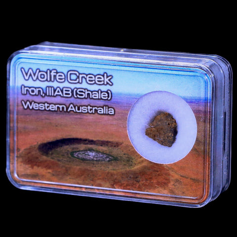 Wolf Creek Meteorite Western Australia Iron, IIIAB (Shale) Found In 1947 Display - Fossil Age Minerals