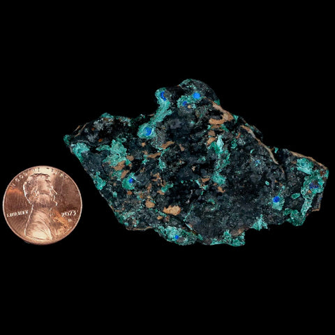 2.5" Rough Malachite Crystals And Azurite Mineral Specimen Tiznit Morocco - Fossil Age Minerals