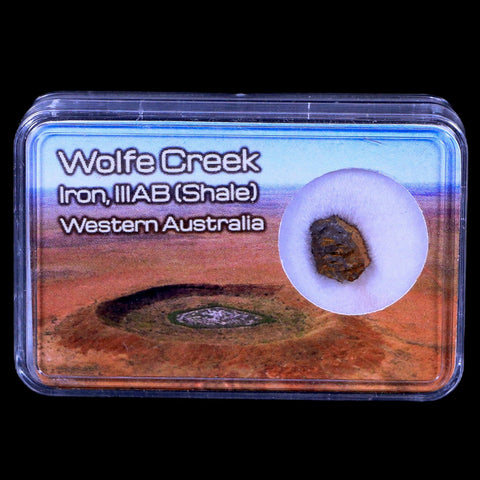 Wolf Creek Meteorite Western Australia Iron, IIIAB (Shale) Found In 1947 Display - Fossil Age Minerals