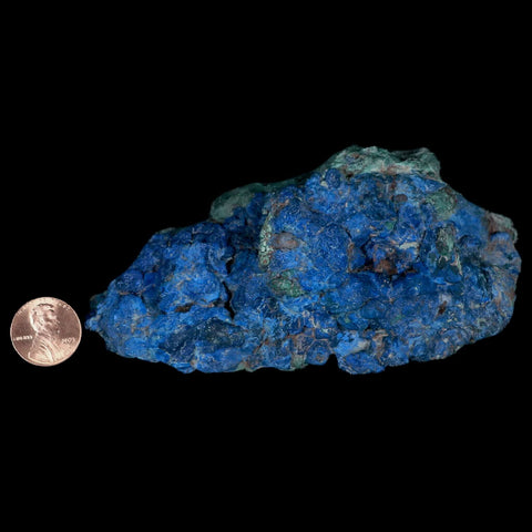 XL 4.6" Rough Azurite Crystals And Malachite Mineral Specimen Tiznit Morocco - Fossil Age Minerals