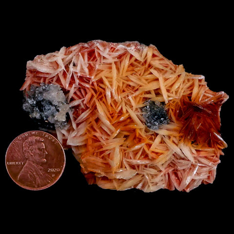 2.6" Pink, Orange Barite Blades, Cerussite Crystals, Galena Crystal Mineral Morocco - Fossil Age Minerals