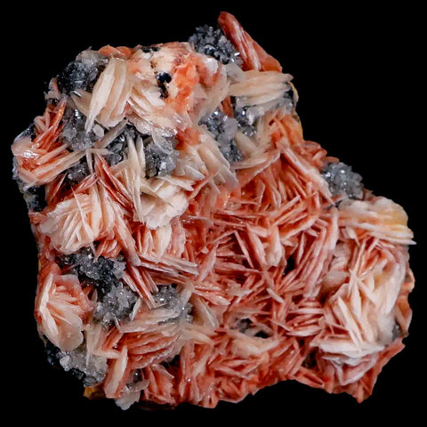 3" Sparkly Pink Barite Blades, Cerussite Crystals, Galena Crystal Mineral Morocco - Fossil Age Minerals