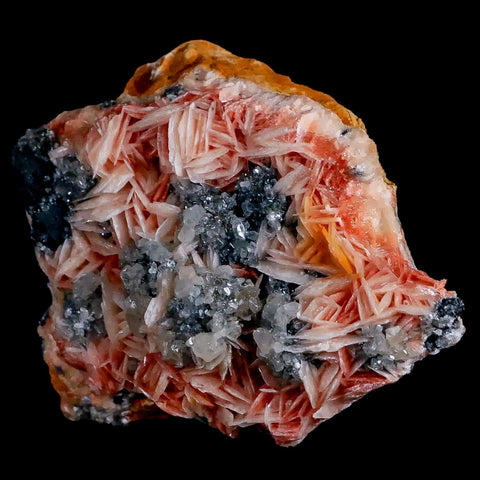 2.7" Sparkly Pink Barite Blades, Cerussite Crystals, Galena Crystal Mineral Morocco - Fossil Age Minerals