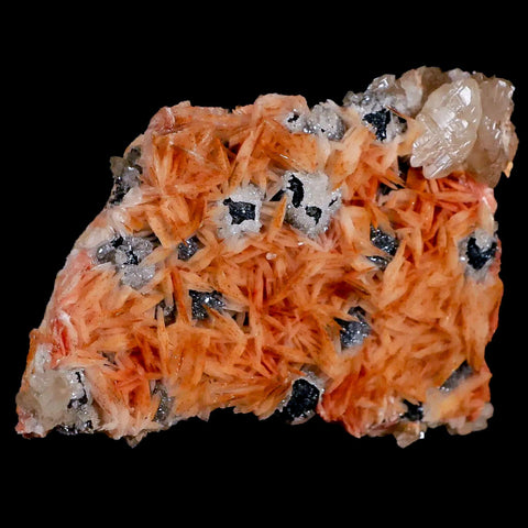 3.1" Sparkly Orange Barite Blades, Cerussite Crystals, Galena Crystal Mineral Morocco - Fossil Age Minerals