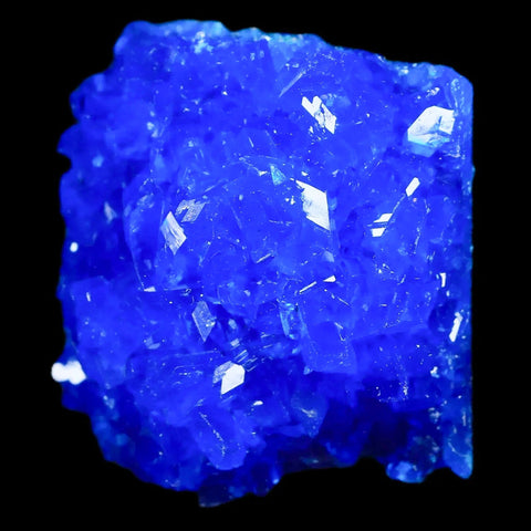 1.9" Electric Blue Chalcanthite Mineral Crystal Specimen Location Poland Sokolowski - Fossil Age Minerals