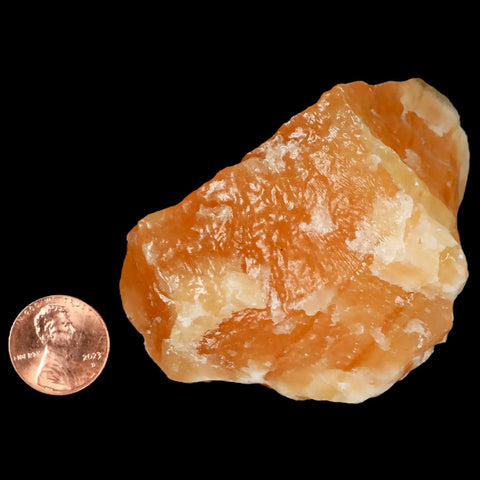 2.8" Natural Rough Orange Calcite Crystal Mineral Specimen Nuevo Leon Mexico - Fossil Age Minerals