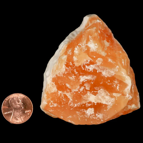 2.8" Natural Rough Orange Calcite Crystal Mineral Specimen Nuevo Leon Mexico - Fossil Age Minerals