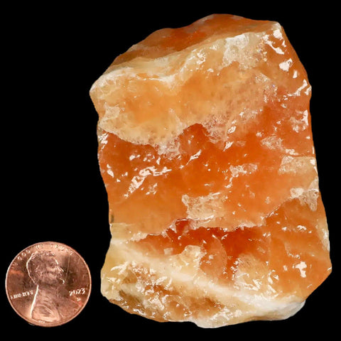 2.6" Natural Rough Orange Calcite Crystal Mineral Specimen Nuevo Leon Mexico - Fossil Age Minerals