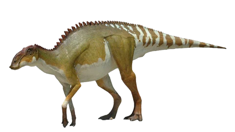 7" Brachylophosaurus Fossil Vertebrae Dinosaur Judith River MT COA Metal Stand - Fossil Age Minerals