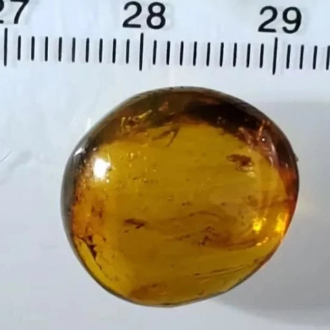 Burmese Insect Amber Arachnida Spider Bug Fossil Cretaceous Bermite Dinosaur Age - Fossil Age Minerals