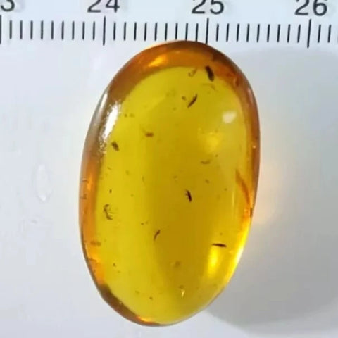 Burmese Insect Amber Beetle, Mosquito fly, Wasp Bugs Fossil Cretaceous Dinosaur Age - Fossil Age Minerals