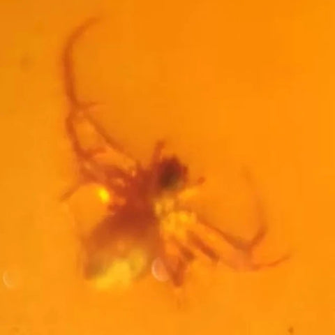 Burmese Insect Amber Arachnida Spider Bug Fossil Cretaceous Bermite Dinosaur Age - Fossil Age Minerals