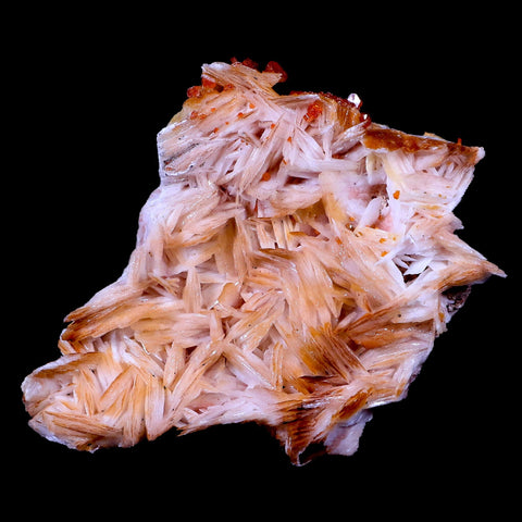 3.2" Sparkly Red Vanadinite Crystals On Orange Barite Blades Mineral Morocco - Fossil Age Minerals