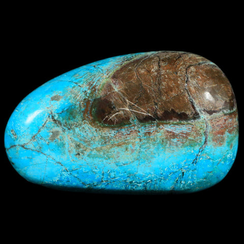 2.6" Chrysocolla Palm Stone Polished Free Form Blue And Teal Color Location Peru - Fossil Age Minerals