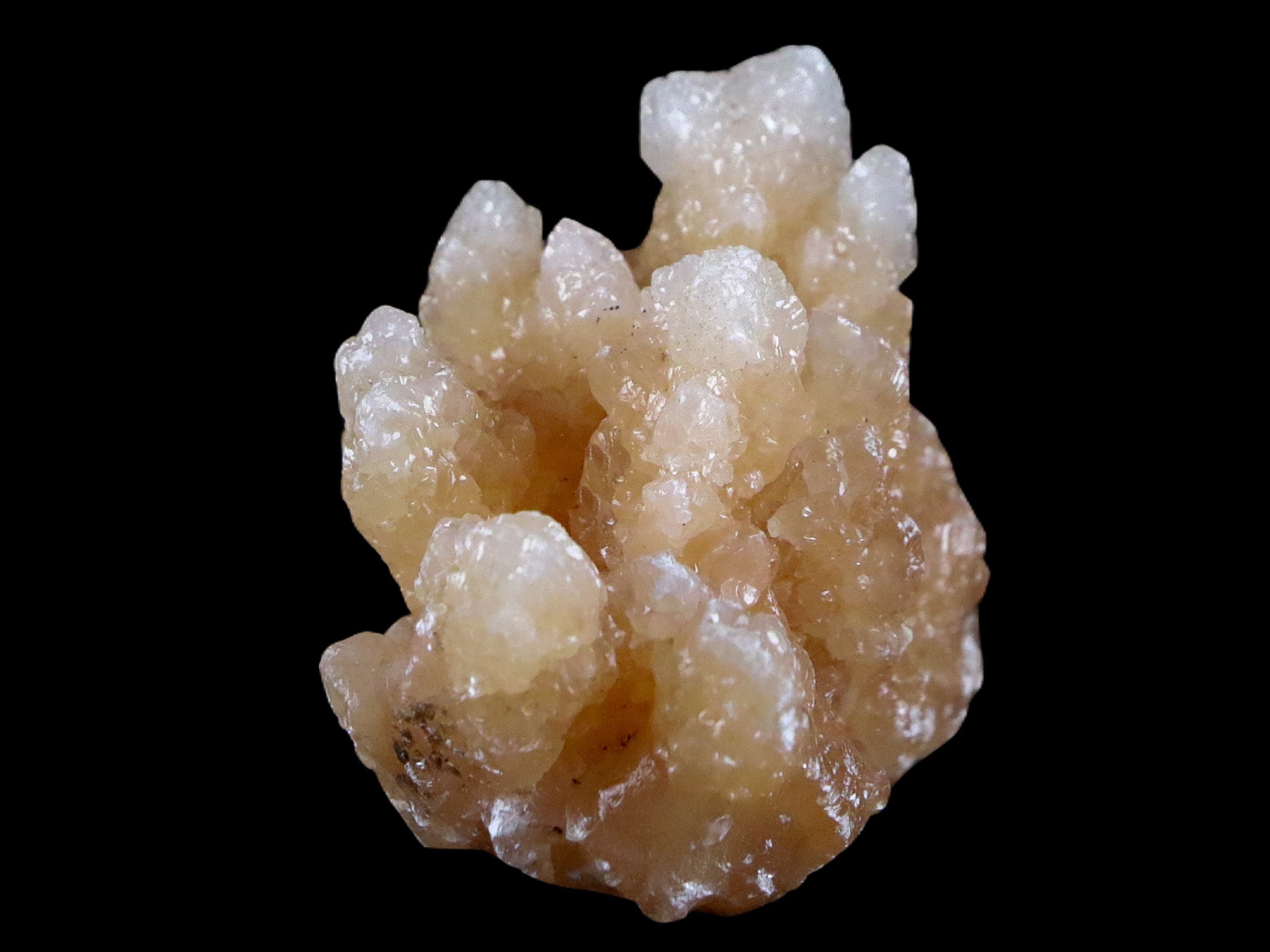 1.6 Aragonite Cave Calcite Crystal Cluster Mineral Specimen 1.6 OZ Morocco