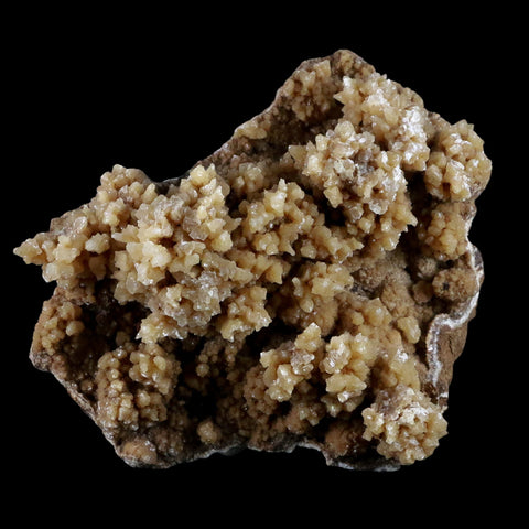 5.5" Aragonite Cave Calcite Crystal Cluster Mineral Specimen 1 LB 5.7 OZ Morocco - Fossil Age Minerals