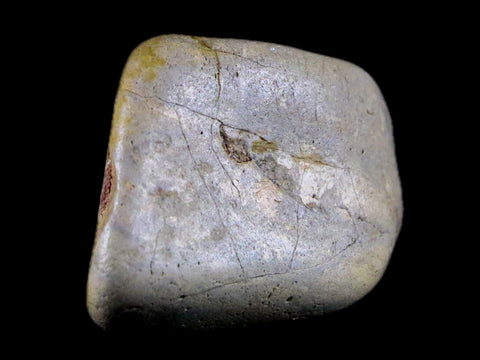 1.8" Sauropod Dinosaur Stomach Stone Gastrolith Rock Gizzard Stone 1.6 OZ COA - Fossil Age Minerals