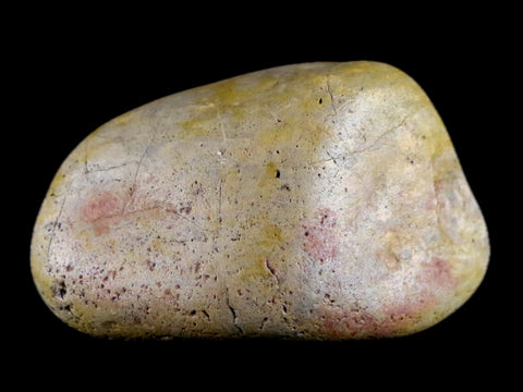 1.8" Sauropod Dinosaur Stomach Stone Gastrolith Rock Gizzard Stone 1.6 OZ COA - Fossil Age Minerals